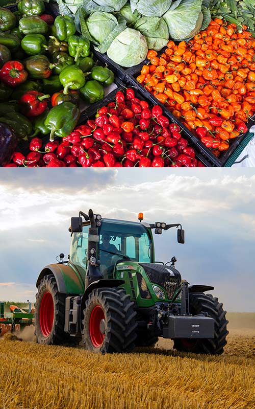 Farm and Agricultural Mortgages in Peterborough, Lindsay and across Ontario